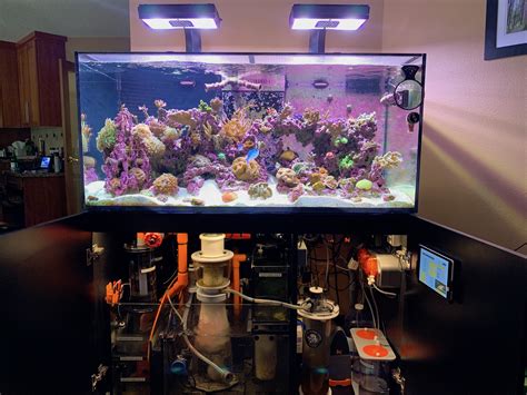 Image result for Programming Neptune Apex