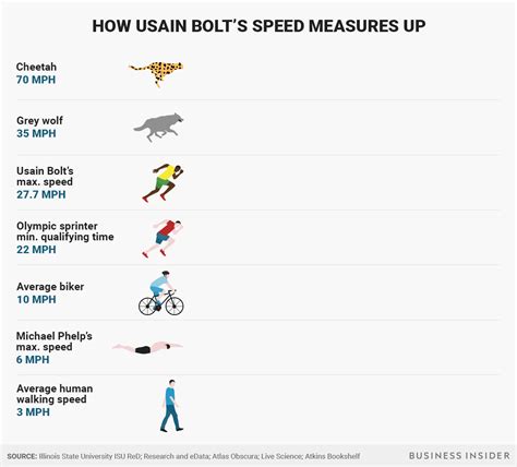 How Usain Bolt's top speed compares to Michael Phelps, a cheetah, and more - TechKee