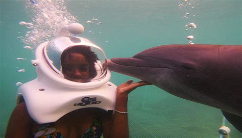 海豚湾,牙买加探险,牙买加旅游局