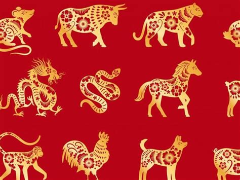 Ludovica Squirru anticipó cómo será el 2023 para cada signo según el ...