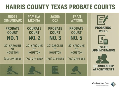 Harris County Probate Court Judges: 5 Unmasked Insights