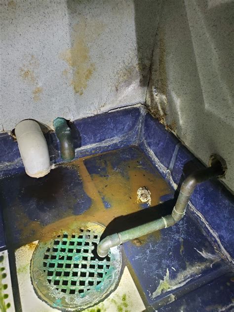 Moore Services Inc. on LinkedIn: #ummm #leak #froggy #guest #plumbing #deliveringmoore