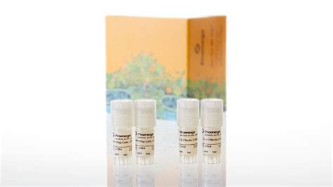 CTLA-4 Blockade Bioassay