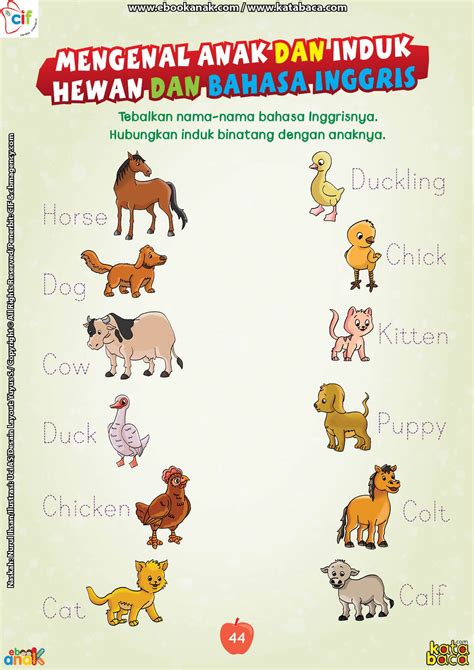 Nama Binatang Dalam Bahasa Inggris - HelenrosHowe