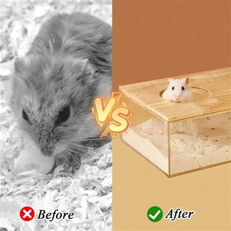 Hamster Sand Bath Kit, Acrylic Hamster Sand Bath Box With Wood Lids ...