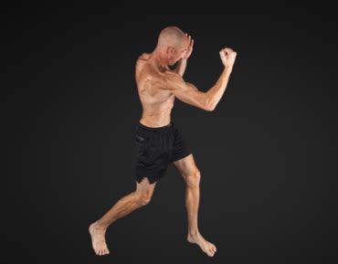 Shadow Boxing 的图像结果