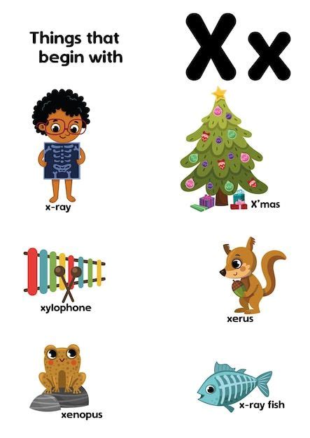 Premium Vector | Things that start with the letter X Educational vector ...