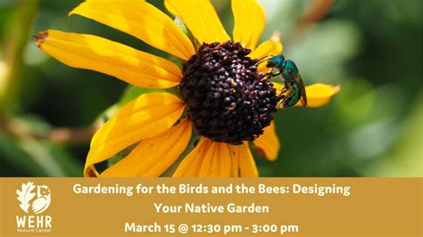 Gardening for the Birds and the Bees: Designing Your Native Garden ...