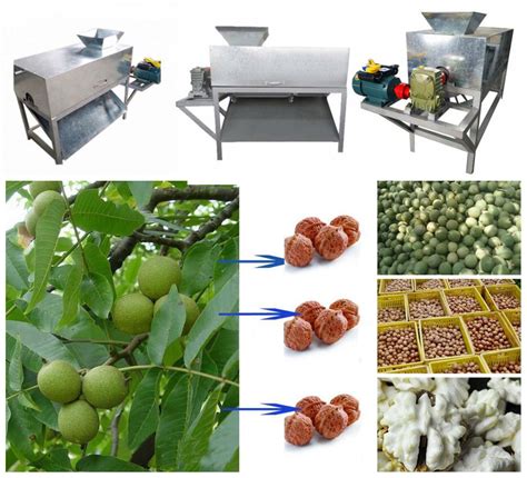 Image result for Walnut Processing Machine