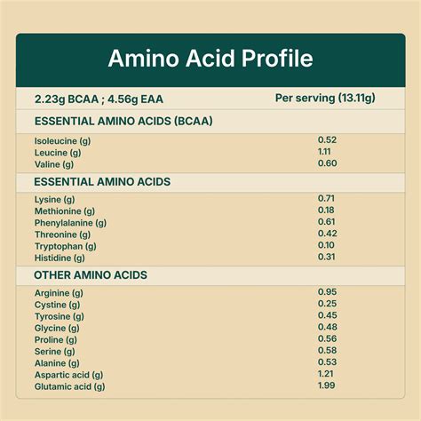 Buy Plant Protein for Rotis | Add 5g Protein per Roti – Clean ...