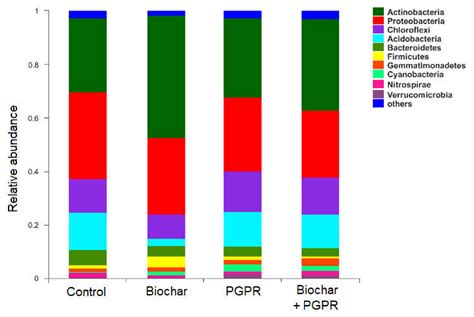 Biochar and Rhizobacteria Amendments Improve Several Soil Properties ...