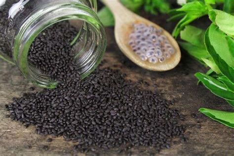 Unleash The Power Of Basil Seeds In Your Life | Femina.in