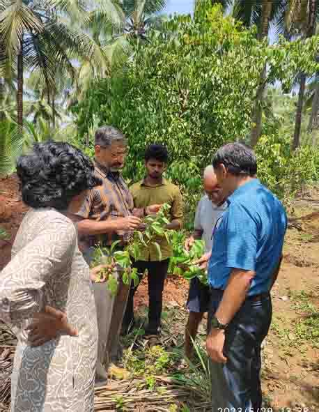 ICAR-Central Plantation Crops Research Institute