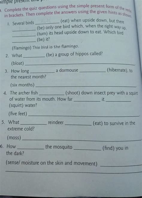 answer above question - Brainly.in