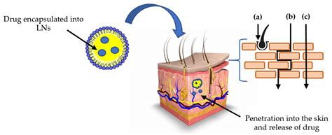 Lipid Nanoparticles and Skin: Discoveries and Advances