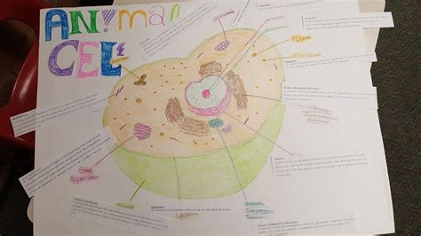Image result for Basic Cell Structure Poster