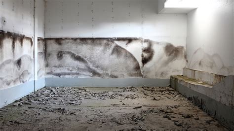 How To Remove Mold From Basement Floor – Flooring Ideas