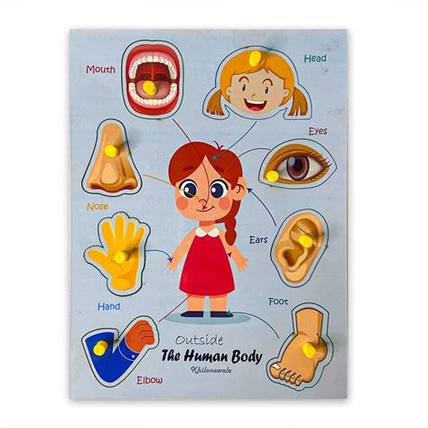 Outside Body Parts Toddler Puzzles for Kids Ages 2-4-8 Wooden Puzzles ...