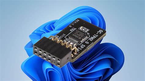 Image result for TPM 2Win Logo