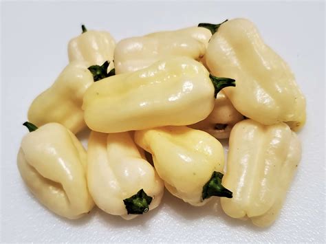 See related image detail. Snow White Pepper Seeds | Super Hot Chiles