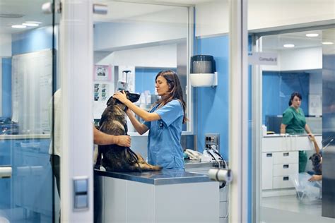 Two new veterinary colleges to almost double number of such graduates ...