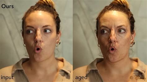 Image result for Simulate Aging