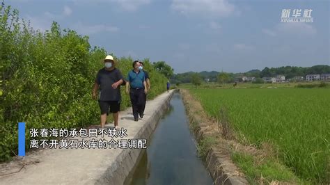 湖南桃源：科学调水保障农田灌溉_凤凰网视频_凤凰网