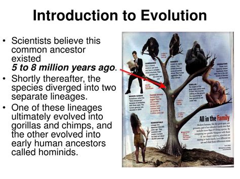 Image result for Evolution Introduction