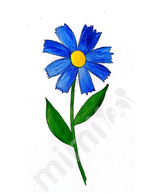 Image result for Drawing Tutorial for Flower