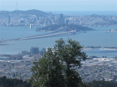 Oakland Hills - Antionette Zimmer