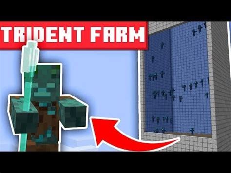 Image result for Best Small Drown Farm Java