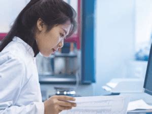 Image result for CLC Main Workbench Reviews