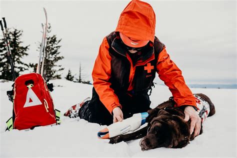 Image result for Sam Splint Vs Other Splints