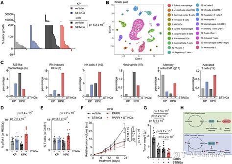 Cellselectioncallbackfunction MATLAB 的图像结果