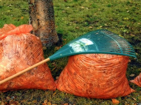 No-Charge Yard Waste Day, 400 Freel Dr, Ames, IA 50010-6515, United ...