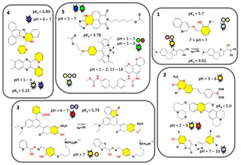 Visual pH Sensors: From a Chemical Perspective to New Bioengineered ...