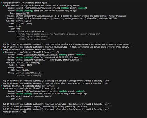 Web Server Protection 的图像结果