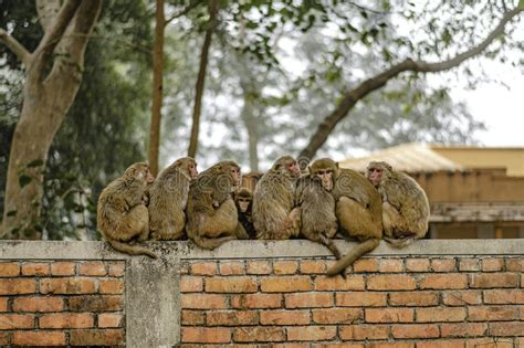 Huddle Cold 的图像结果