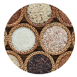 Welcome to Nature In