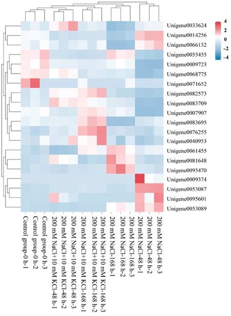 Role of bZIP Transcription Factors in Response to NaCl Stress in ...
