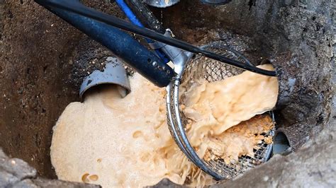 How To Remove Grease Clog From Sink — Detailed Guide ‐ Big Blue Plumbing