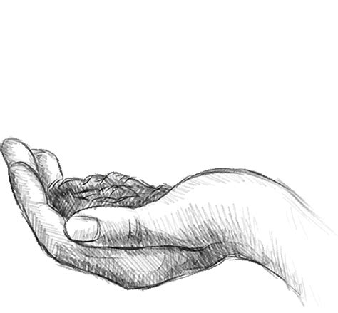 Home – Central Agri