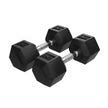 2*10 Kgs Rubber Hex Dumbells – Lifelong Online