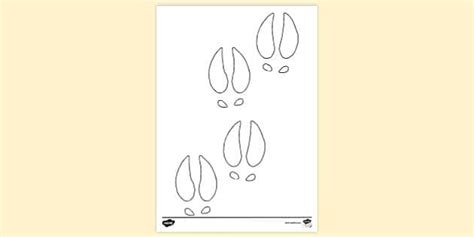 Goat Hoof Prints Colouring | Colouring Sheets
