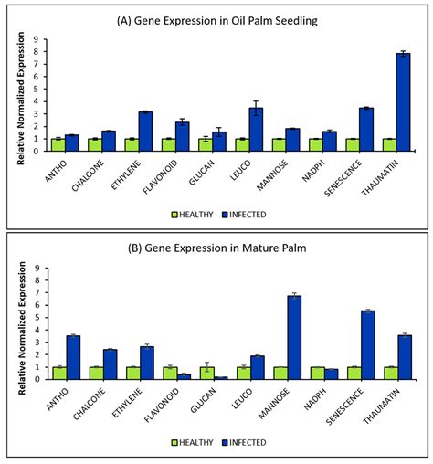 Identification of Oil Palm’s Consistently Upregulated Genes during ...