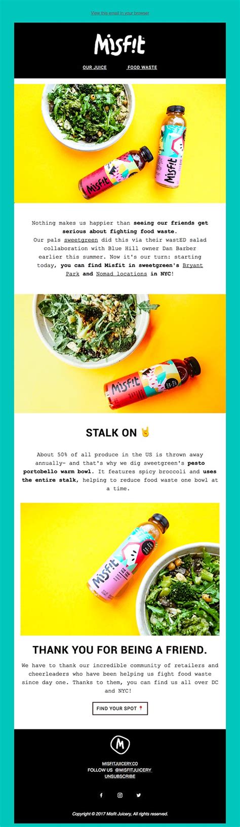 Image result for HTML Email Newsletter Examples