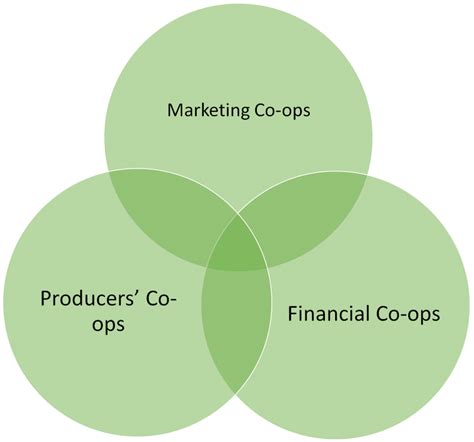 Co-operative Partner 的图像结果