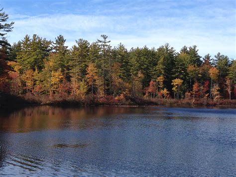 Beaver Pond Campground NH: Camping Reservations & Activities