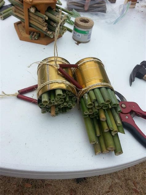 Image result for Making a Bee Home