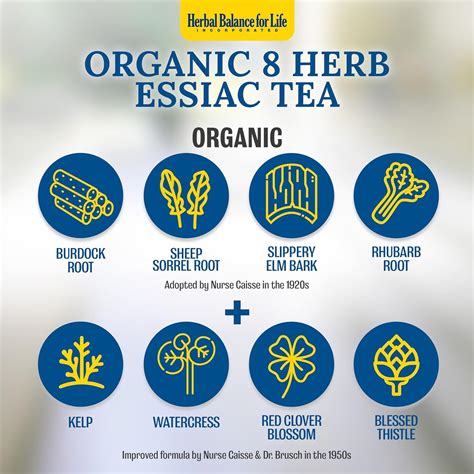 Herbal Balance for Life Organic Essiac Tea 8 Herb Blend, 16 Packs, 128 ...